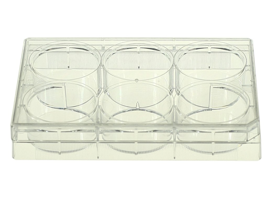 Nest Scientific 703001 Polystyrene 6 Well Cell