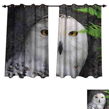 Amazon Com Rupperttextile Wizard Blackout Curtains Panels