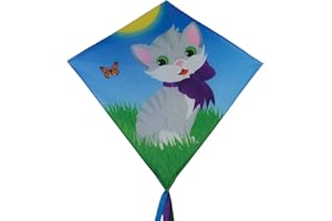 In the Breeze 30-inch Graphic Diamond Kites