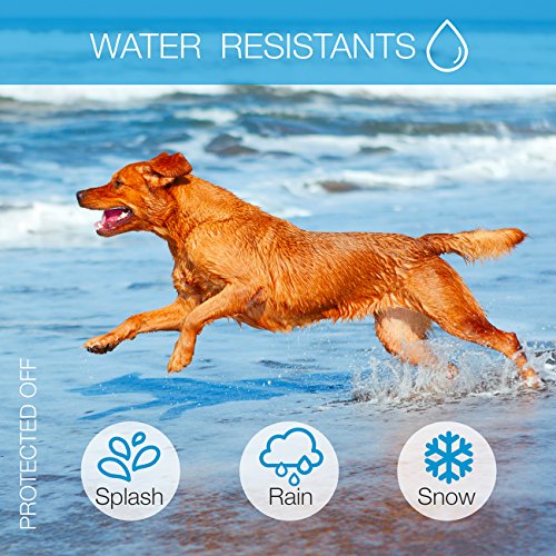 6 DogRook+Dog+Bark+Training+Collar