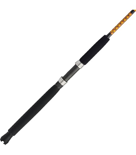 Amazon.com : Okuma Fishing Tackle CSX-S-1062M Cedros Surf CSX Graphite Saltwater Spinning Rods : Okuma Sedros Rod : Sports & Outdoors Amazon.com : Okuma Fishing Tackle CSX-S-1062M Cedros Surf CSX Graphite Saltwater Spinning Rods : Okuma Sedros Rod : Sports & Outdoors