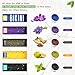 SanSiDo 17.63oz Brazilian Bikini Wax Hard Wax Beans Hair Removal Hot Wax Beads Painless Natural Ingredients Wax 5 Packs for Women and Men
