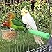 Bird Perch Rough-surfaced Nature Wood Stand Toy Branch for Parrots