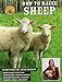 How to Raise Sheep