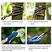 Veego Hammock Straps,Hammock Tree Straps 2000+ LBS Heavy Duty Lightweight 100% No Stretch Suspension System Kit XL Long with 40 Adjustable Loops and 2 Carabiners for Camping,Hiking
