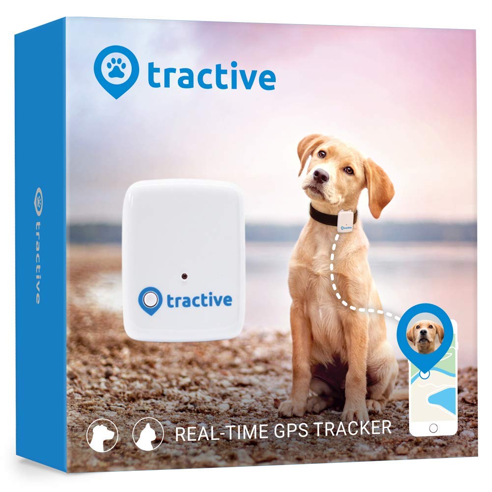 Tractive GPS Dog Tracker Unlimited Range Location Kuwait Ubuy