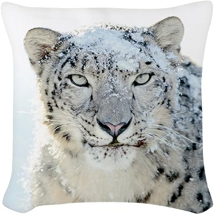 Amazon Com Woven Throw Pillow Snow Leopard Hd Everything Else