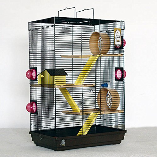 Cage à furet les meilleurs modèles Jardingue