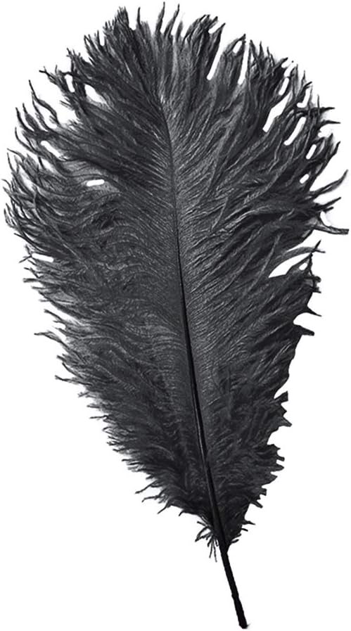 WedDecor Black Natural Ostrich Feathers 14-16" (35-40cm) Long for Wedding Centerpieces Home, Decorating Costumes - Image 5