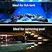 Pond Lights, Rainbowlight 36-LED Waterproof Submersible Spotlight Garden Pool Aquarium Landscape Lamp For Fountain Fish Pond Tank Water Garden(Pack of 3)