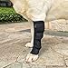 WSGEE Dog Canine Rear Leg Knee Brace Hock Joint Arthritis Wrap for Heals Prevents Injuries Sprains Helps with Loss of Stability