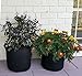 F-sport 3 Gallon/5 Gallon/7 Gallon Grow Bags- 6 Pack Reusable and Durable Fabric Aeration Pots Container with Strap Handles, Perfect for Nursery Garden and Planting