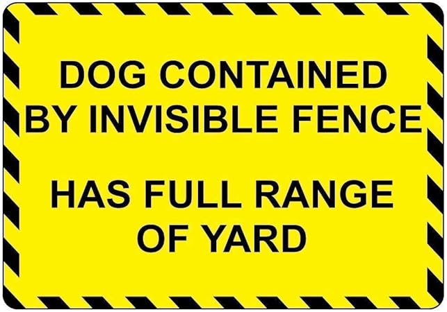 invisible fence driveway