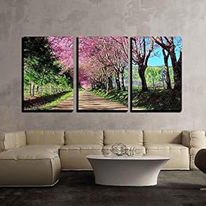 3 Piece Canvas Wall Art - Cherry Blossom Pathway in Chiangmai, Thailand - Modern Home Art Stretched and Framed Ready to Hang - 16"x24"x3 Panels