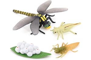 HVOGVOK Dragonfly Growth Cycle, Animal Growth Cycle Biological Model Toy Decoration, Growth Stage Lifelike Dragonfly Life Cycle Model Set for Kids Education Insect Themed Party Favors