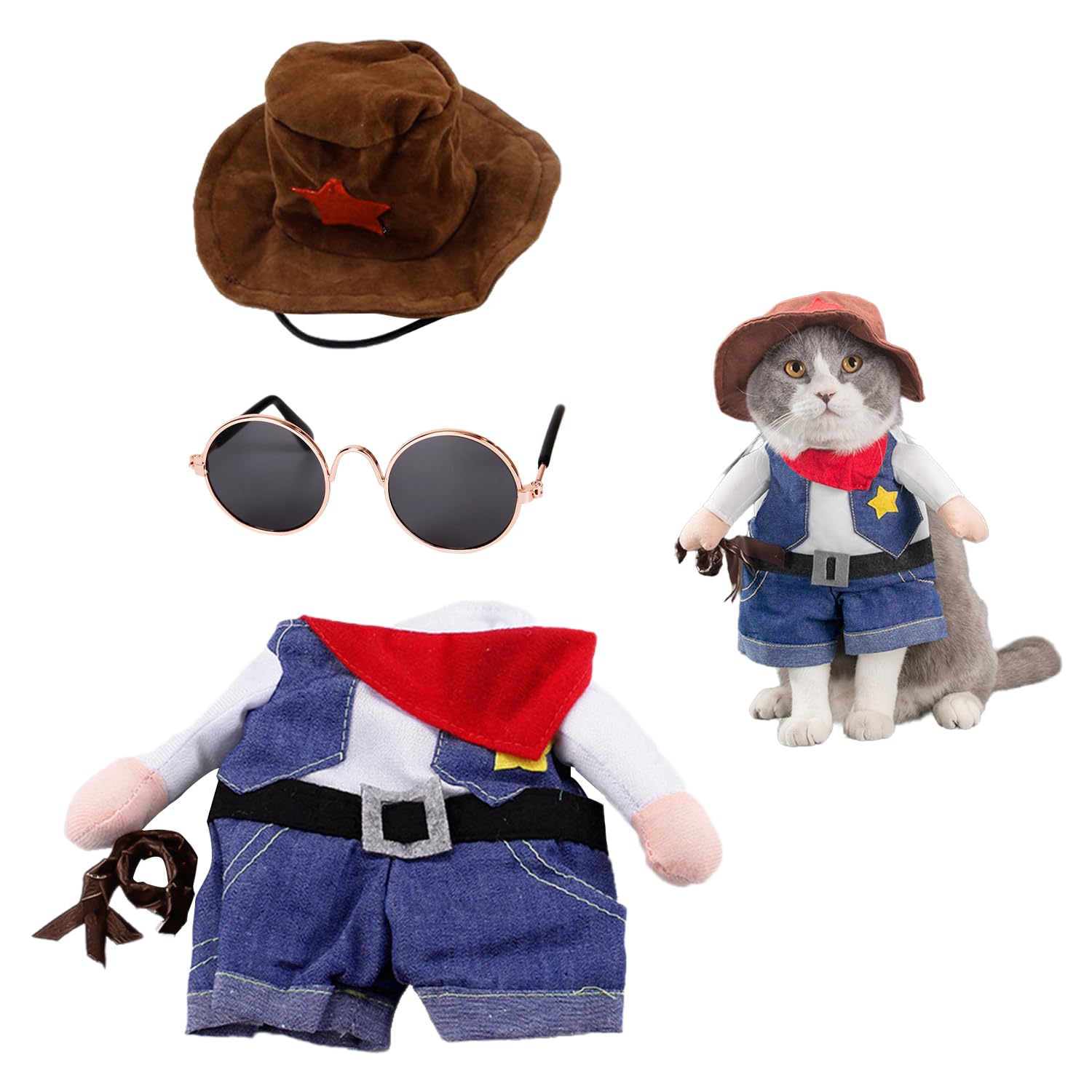 Funny Cowboy Costume with Glasses - Stand-Up Pet Hoodie, Black