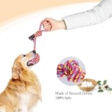 Vivifying Dog Rope Toys Pack of 2 Braided Cotton Interactive Chew Balls view 3