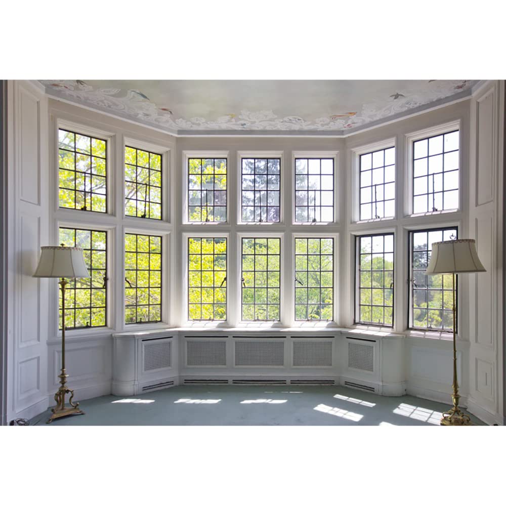 Aoihrraan 3x2,5m French Pane Window View Backdrop Luxury Retro Interior Windows Spring Scenery Sunshine Photography Background Wedding Party Decoration Video Conferencing Banner Photo Studio Props