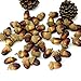 R.FLOWER 50pcs Artificial Lifelike Simulation Small Acorn Set Decoration Fake Fruit Home House Kitchen Décor