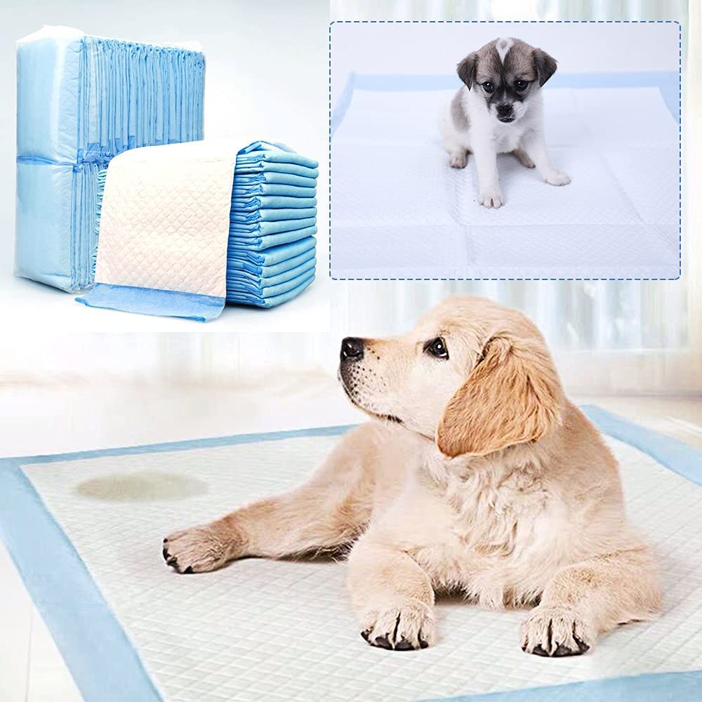 SMELL & SMILE Disposable Soakers, Dogs, Cats, Training Wipes for Pets, Pads for Dogs (40 x 50 cm, 50 pcs)