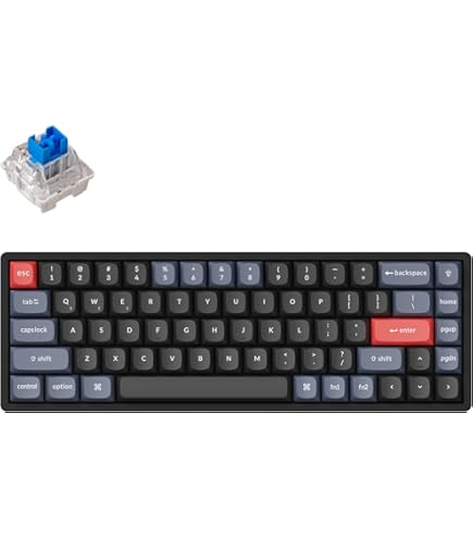Amazon.com: Keychron K6 Hot Swappable Wireless Bluetooth 5.1/Wired