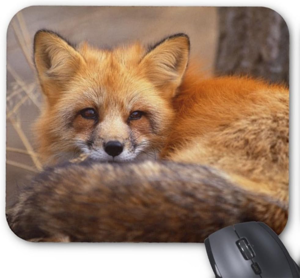 DIY Mousepad Red Fox Mouse Pad 9.257.75 Office Products
