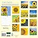 2016 Sunflowers Wall Calendar
