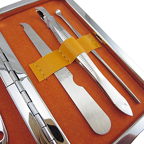 Dealglad 7pcs Stainless Steel Nail Care Personal Manicure & Pedicure Set ,Nail Clippers Scissors Travel & Grooming Kit Tool (Rose)