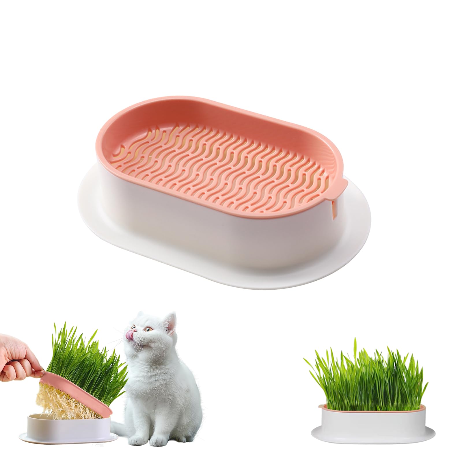 Photo 1 of Hydroponic Cat Grass Growing Kit with Germination Tray - Indoor Gardening System for Pets, Soil-Free Planter Without Seeds