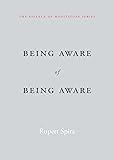 Being Aware of Being Aware