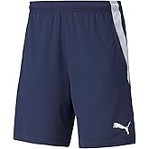 Puma Mens Teamliga Shorts