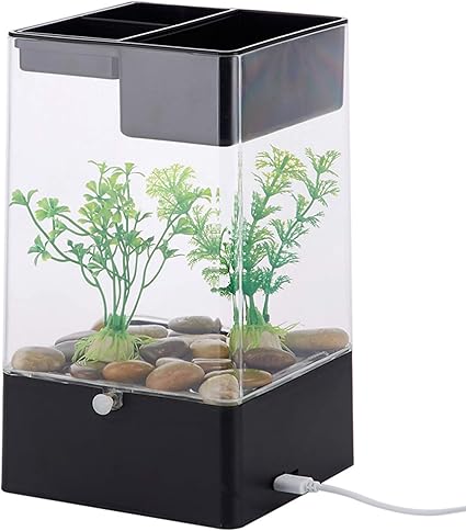 Amazon Co Jp 小型水槽 アクリルゴールド水槽 ミニ卓上透明水槽 搭載usb カラフルなライトでボトム Black ホーム キッチン Amazon Co Jp 小型水槽 アクリルゴールド水槽 ミニ卓上透明水槽 搭載usb カラフルなライトでボトム Black ホーム キッチン
