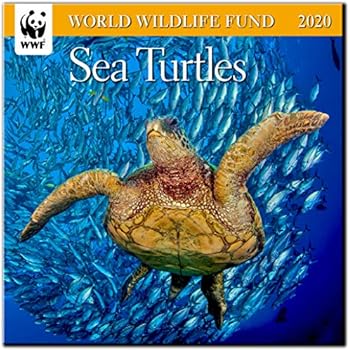 WWF Turtles Mini Wall Calendar 2020 Monthly January-December 7