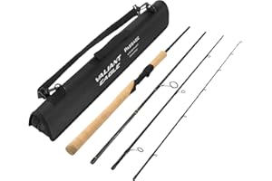 KastKing Valiant Eagle Passage Travel Fishing Rods, 4 & 6 Pc Pack Rods, Spinning, Casting and Fly Models, IM6 Graphite Blank, Ti Oxide LTS Ring Guides, Beautiful Cork Handles