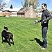 Double Retractable Dog Leash for Two Dogs Up to 50 lbs Per Dog - 16 ft Coupler Dog Leashes for Small Medium Dogs - One Locked System, Non Slip Grip, Tangle Free