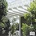 Menil: The Menil Collection (Renzo Piano Monographs) (English and Italian Edition)