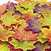 JEMONG 300Pcs Assorted Mixed Fall Colored Artificial Maple Leaves for Weddings, Events and Decorating