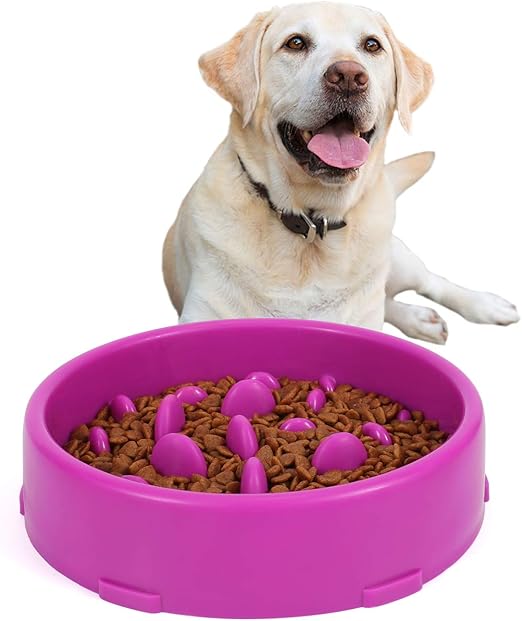 amazon slow dog feeder