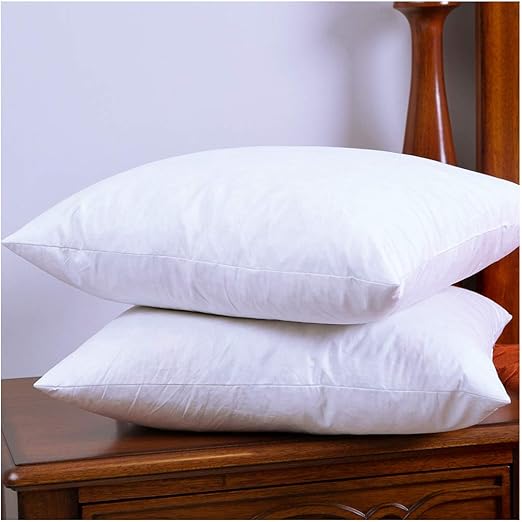 Amazon Com Downight 12 X 20 Inches Two Down And Feather Pillow