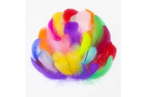 ASHIONEE Feathers, Feathers for Crafts Colorful Goose, feather 300PCS 3-5inch for DIY Crafts Dream Catcher Angel Wings Wedding Home Party Decorations