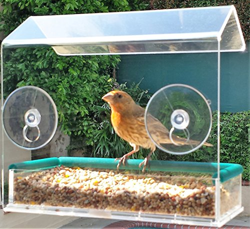 Window Bird Feeder House Premium Crystal Clear Acrylic Powerful