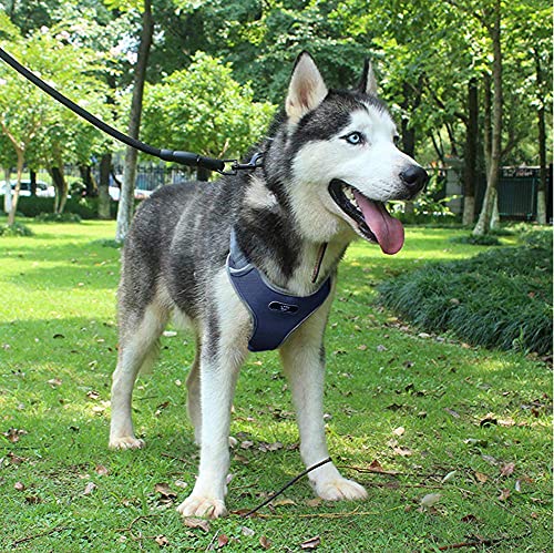Dog Harness with Leash, Adjustable with Reflective Strips for Medium Large Dogs - Image 5