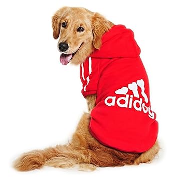 adidas pullover hund