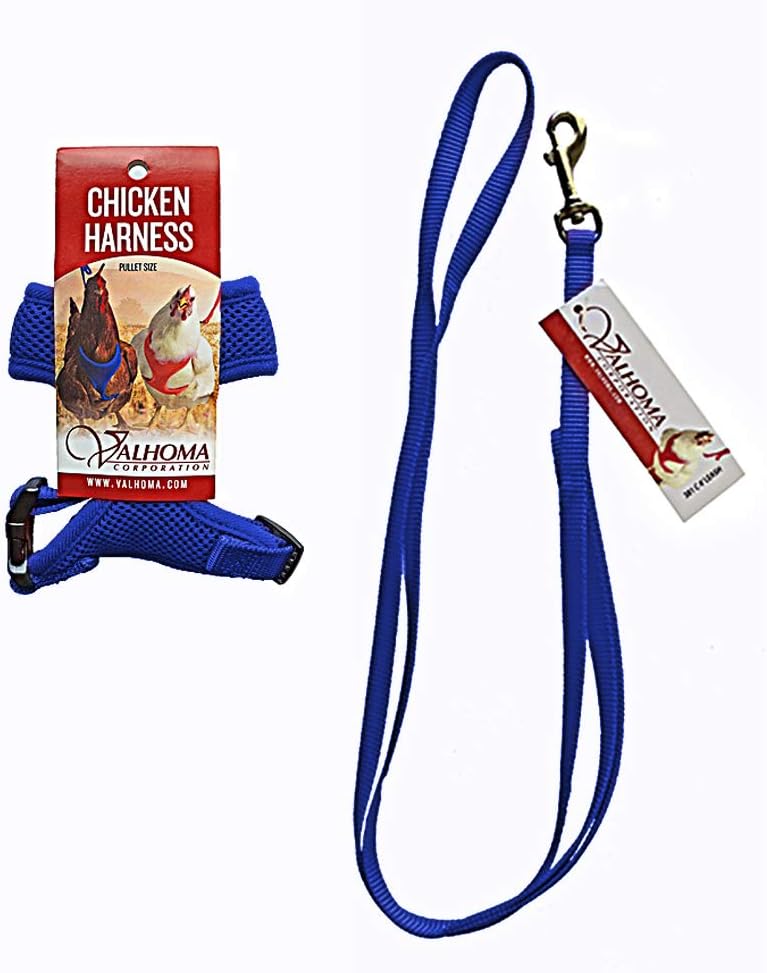 Valhoma Small Chicken Harness and Leash for Pullet, Bantam, Juvenile, or Small Chickens, Includes a Blue Harness and Matching Blue 4 Foot Leash for Pet Chickens. Best Gift for Chicken Owners.