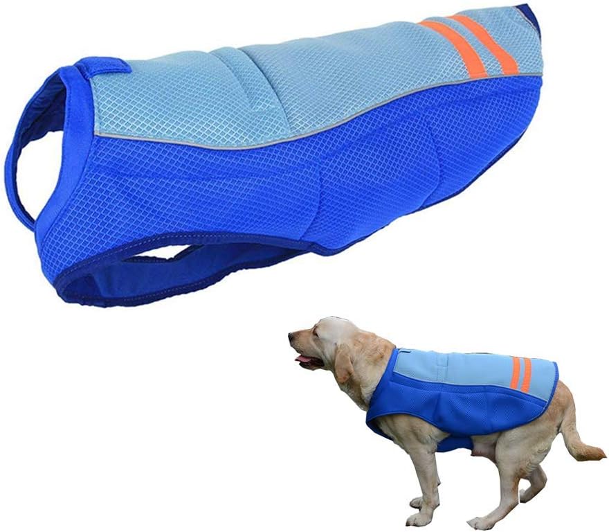 JanTeelGO Dog Cooling Vest, Breathable Cooling Coat Outdoor Anti-heat Summer Jacket Clothes for Medium and Large Pet Dogs (M, Blue)