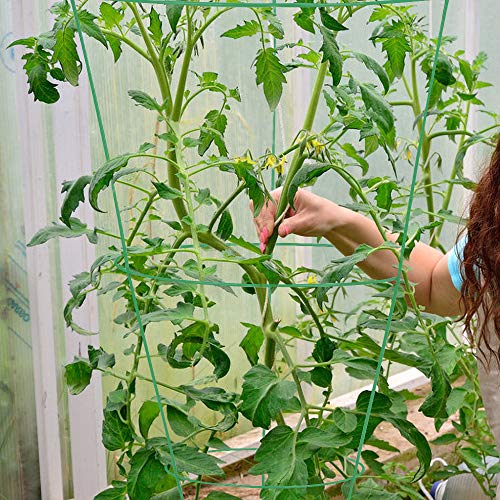 GROWNEER 12 Packs 33 Inches Plant Support Cage Tomato Cages with 328