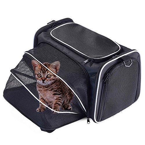 Hardsided Cat Carriers
