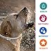 Pet Collar Pest Control Collars with Essential Oil Prevention for Dogs and Puppies with Natural Extracts 8 Month Protection Dog Treatment 25 inches One Size Fits All