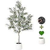 Artificial Olive Trees Indoor,Faux Olive Tree with White Planter Pot,Artificial Plants Lifelike Fruits for Home Office MeetingRoom Living Room Indoor Outdoor Decor(4.2ft)