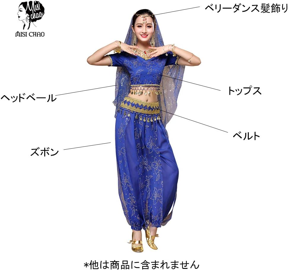 Amazon ベリーダンス 衣装 5点セット シフォン コスペレ 仮装 アラジン インドダンス 社交ダンス アラビアン衣装 コスチューム 半袖トップス ズボン ブルー コスプレ 仮装 通販